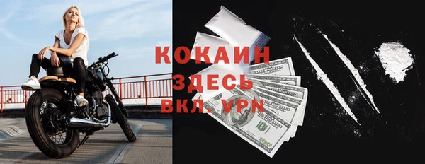 шишки Белоозёрский