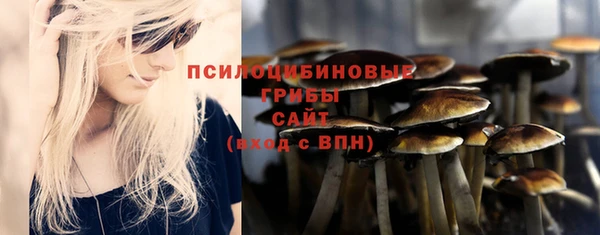 шишки Белоозёрский