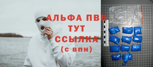 шишки Белоозёрский
