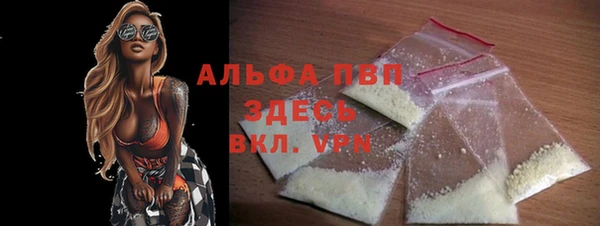 шишки Белоозёрский