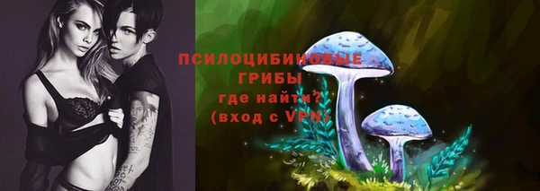 дурь Беломорск