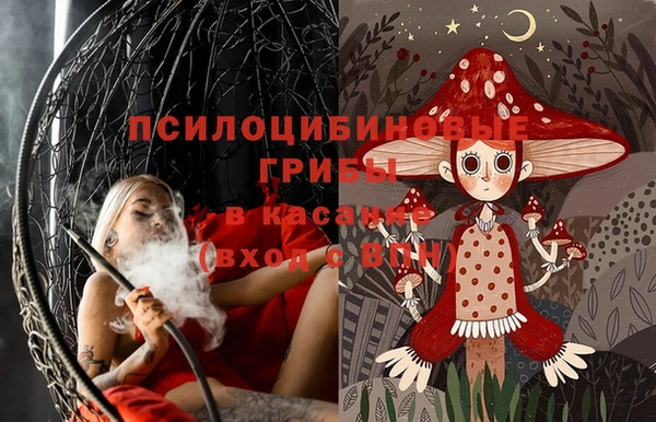 шишки Белоозёрский