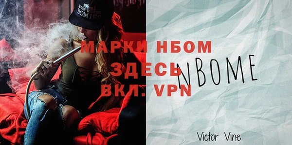 шишки Белоозёрский