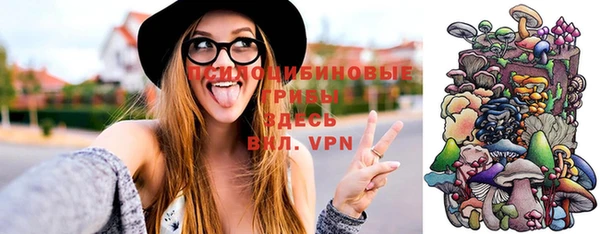 шишки Белоозёрский