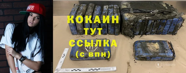 шишки Белоозёрский