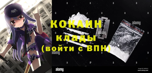 шишки Белоозёрский