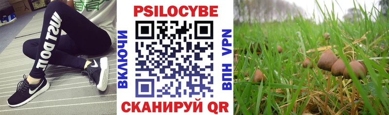 Псилоцибиновые грибы Psilocybe  Городовиковск 